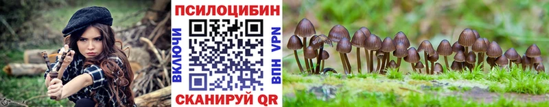 Псилоцибиновые грибы Psilocybine cubensis  Балаково 