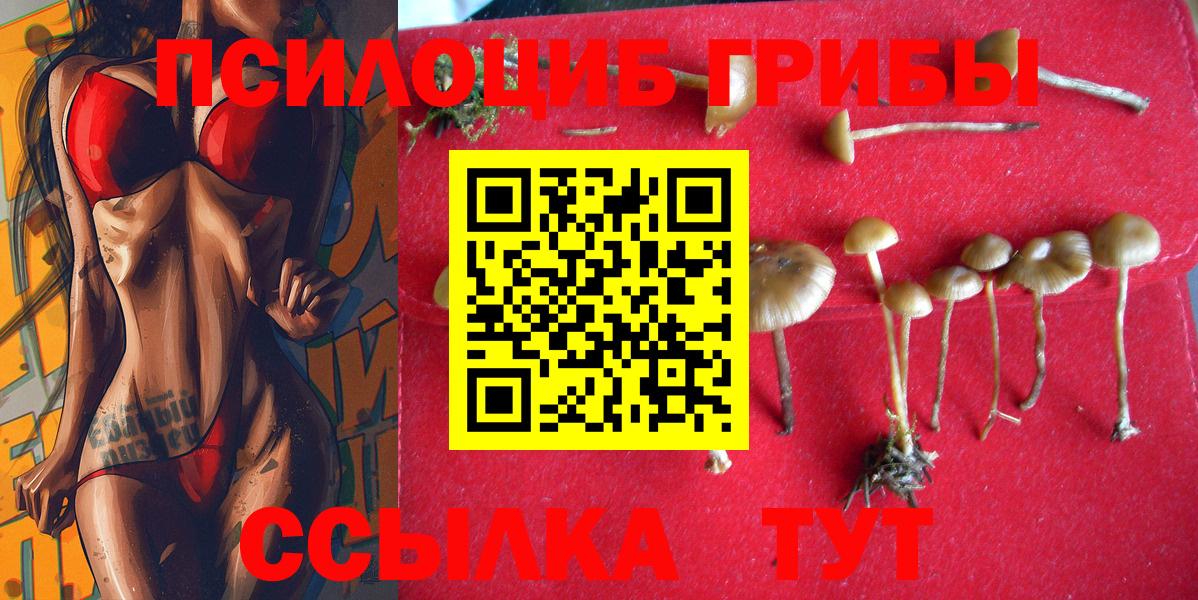 Балаково  Галлюциногенные грибы ЛСД  Вход с VPN 